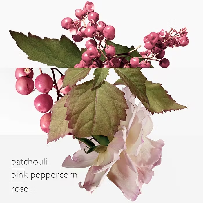 HermesTWILLY D'HERMESEau Poivrée Eau De Parfum 50ml 3 HermesTWILLY D'HERMESEau Poivrée Eau De Parfum 50ml