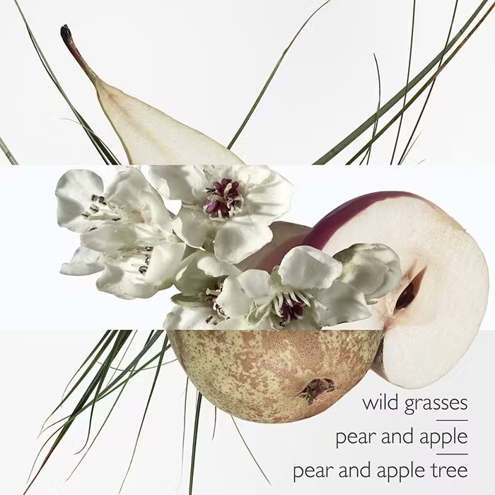 HermesTHE GARDEN-PERFUMESUn Jardin Sur Le Toit Eau De Toilette 100ml