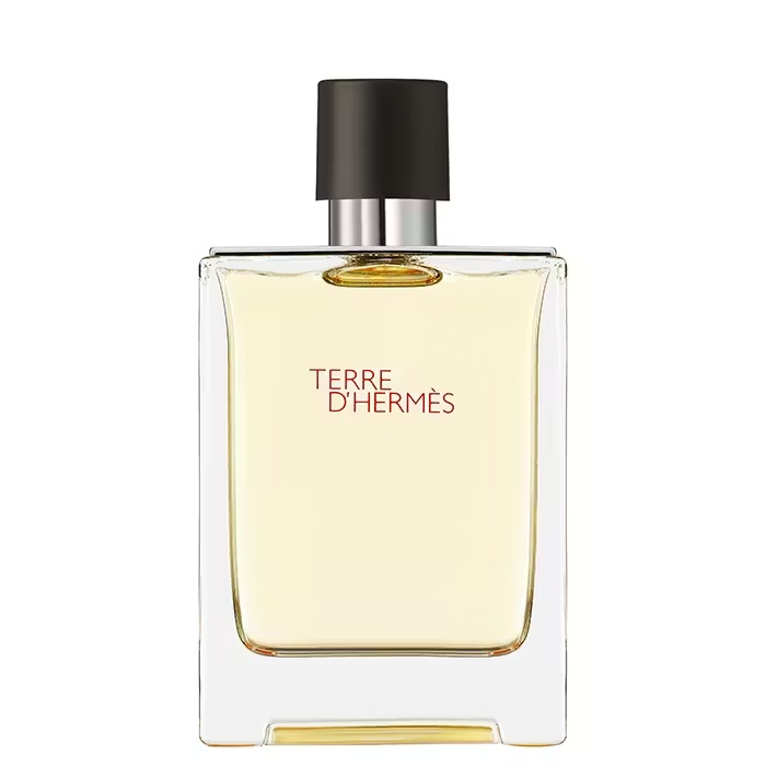 HermesTERRE D'HERMESEau De Toilette 100ml