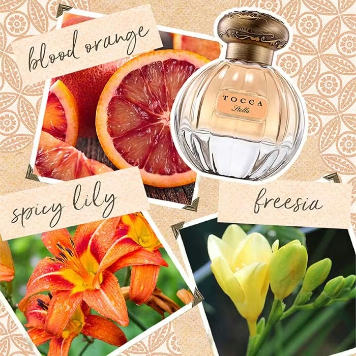 ToccaSTELLAEau De Parfum 50ml 2 ToccaSTELLAEau De Parfum 50ml