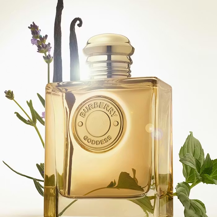 BurberryBURBERRY GODDESSIntense Eau De Parfum 150ml Refill 4 BurberryBURBERRY GODDESSIntense Eau De Parfum 150ml Refill