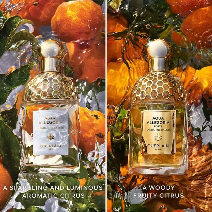 GUERLAINAQUA ALLEGORIAFORTE - MANDARINE BASILIC Eau De Parfum 75ml Spray 4 GUERLAINAQUA ALLEGORIAFORTE - MANDARINE BASILIC Eau De Parfum 75ml Spray