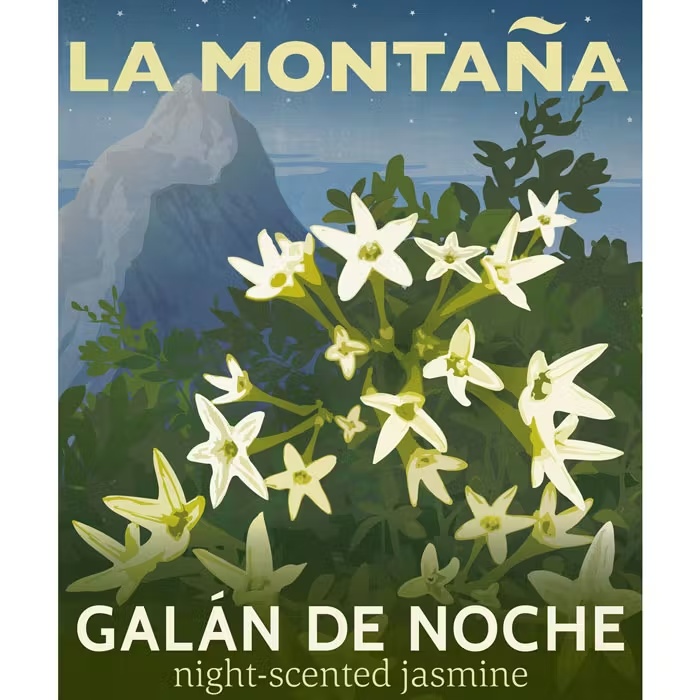 La MontanaGalan De NocheLa Monta√±a Room Spray Gal√°n de Noche 110ml