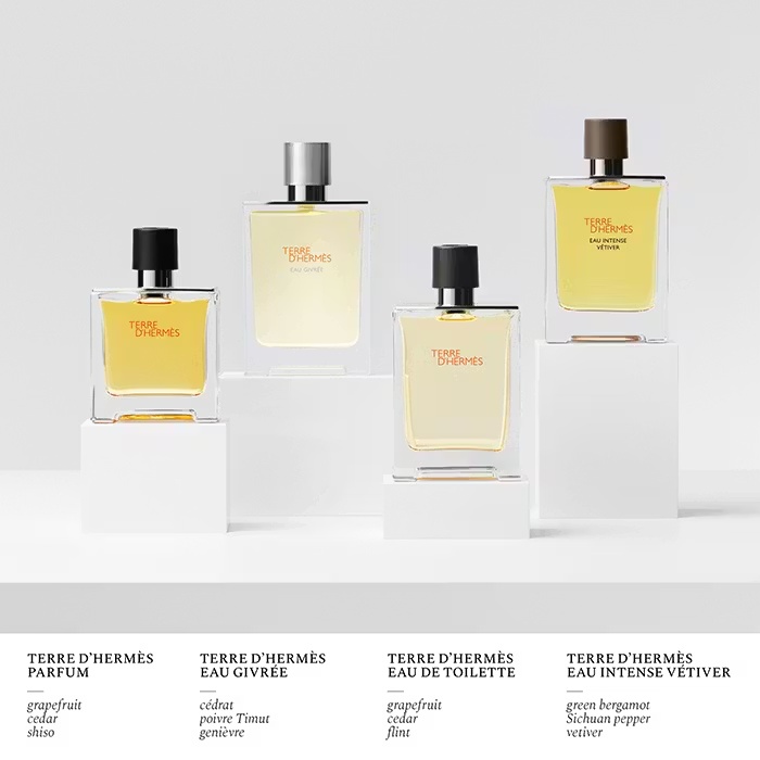 HermesTERRE D'HERMESParfum 75ml